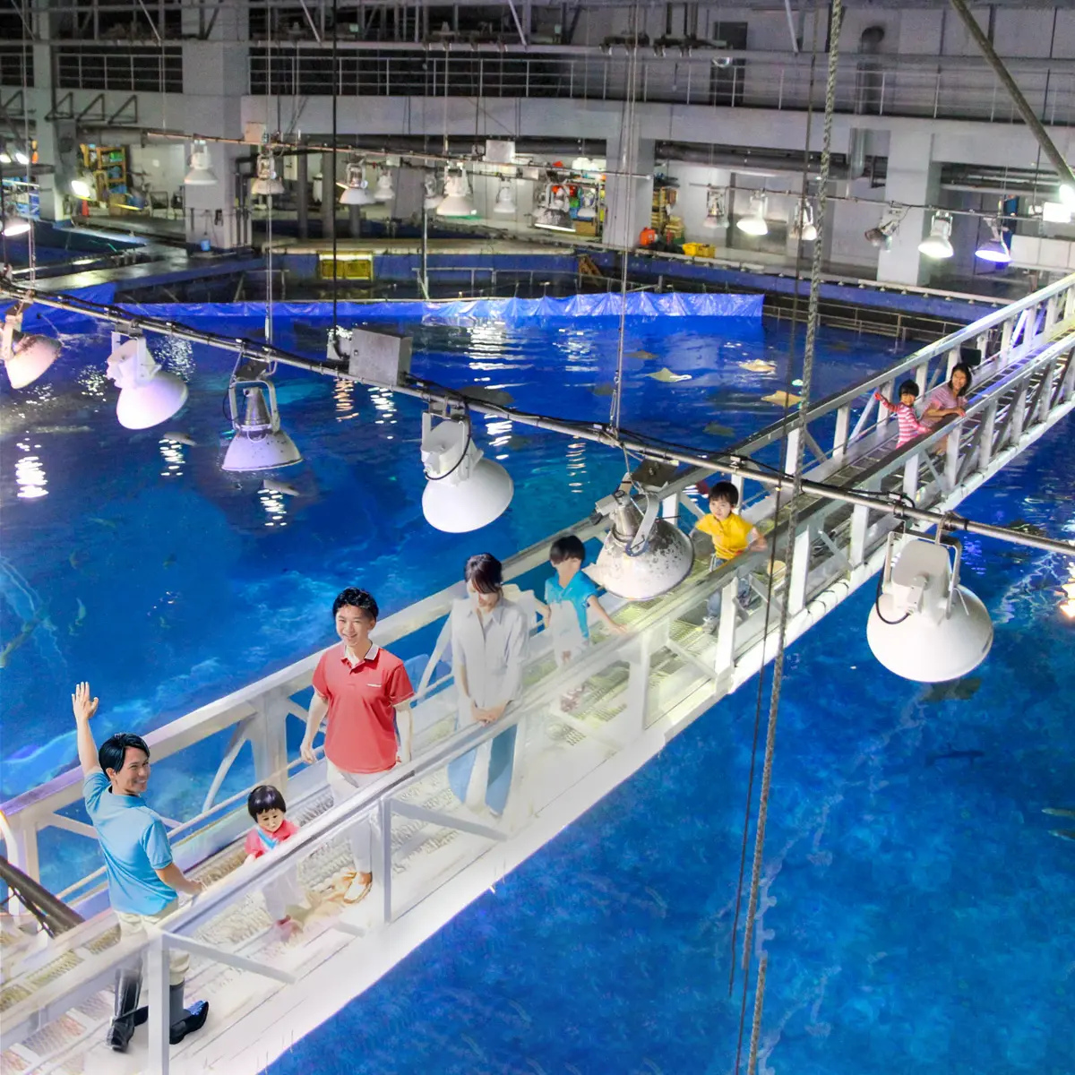 水族館の裏側ツアー